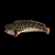 Wolf Fish